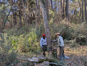 PXL_20260116_020350534