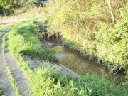 P4150096