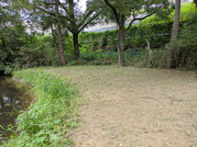 PXL_20260731_041608482