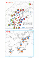 愛媛県における広葉樹の苗の植栽指標_2