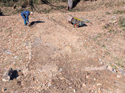 PXL_20251212_023700421