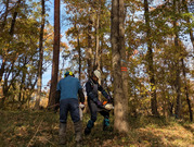 PXL_20251124_011200469