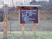 DSCN1152
