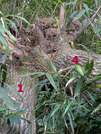 PXL_20260616_083956457-001
