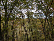 PXL_20251117_234446380