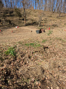 PXL_20260221_043429688