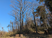 PXL_20260115_234342815