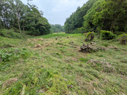 PXL_20260508_023856281
