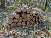 PXL_20251124_024405854