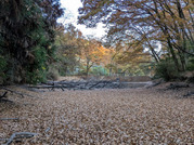 PXL_20251129_064151199