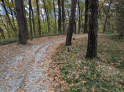 PXL_20251117_235052745