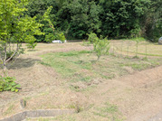 PXL_20260527_225945094