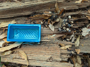 PXL_20251203_024248328