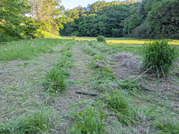 PXL_20260505_080628375