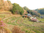 DSCN1519
