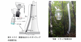 カシナガ調査(沖縄県)18・19_2