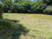 PXL_20260510_022042257