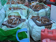 PXL_20260123_001110805