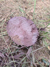 PXL_20260828_042946446