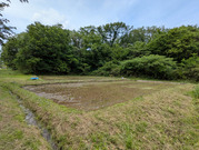 PXL_20260526_040659741