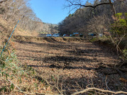 PXL_20260116_020146921