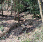 PXL_20260301_030911462