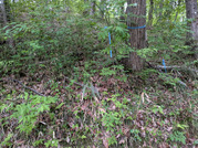PXL_20260430_083106953