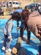 シイタケ駒打ち 324_190325_0037