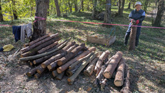 PXL_20251114_022313216