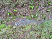 DSC09770