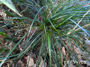 PXL_20260118_023313215