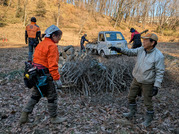 PXL_20260106_025044275-001