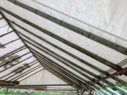 PXL_20260505_081806944
