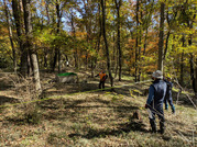 PXL_20251121_023447900