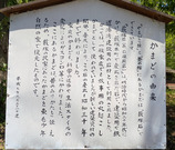 PXL_20260502_032019875