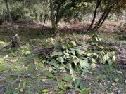 PXL_20251123_022028253