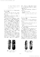 日本のナガキクイムシ科(家屋害虫15-1、1993)_4