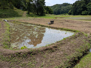 PXL_20260612_010140235