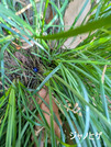 PXL_20260301_025000548