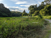 PXL_20260729_082701186