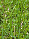 PXL_20260624_011902641
