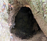 PXL_20250813_213627322