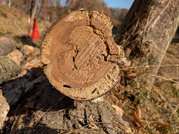 PXL_20251208_032812848