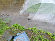 DSC09740