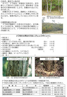 ナラ枯れの被害からまもるために（埼玉県）_4