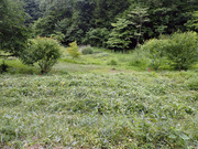 P6060062