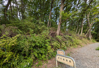 PXL_20260716_234431448