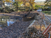 PXL_20251127_234745480