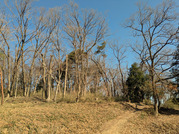 PXL_20260116_035230881