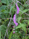 PXL_20260622_094453474